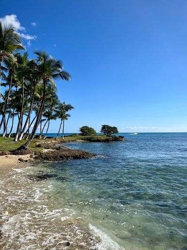 A tranquil tropical beach scene featuring a stunning city skyline in the background