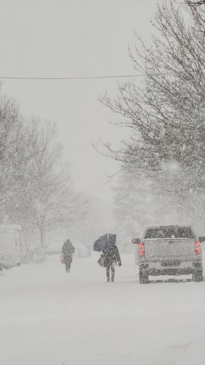 A group of people standing together in the snow, sheltered by umbrellas, while cars pass by a light pole in the background