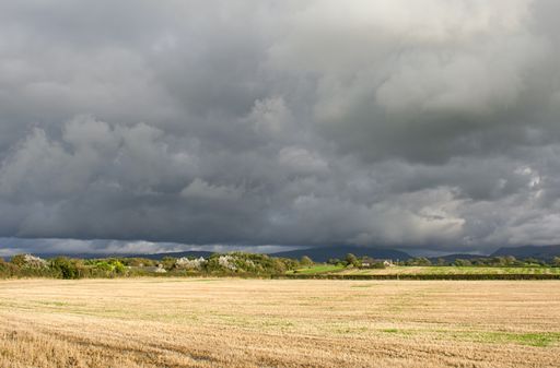 A beautiful shot of a dry grassy field under a cloudy sky in the Welsh countryside