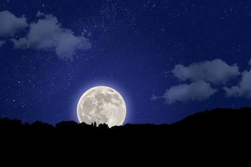 A silhouette shot of a forest with a glowing moon with a starry night blue sky in the background