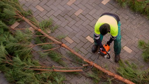 A picture from above of a worker trimming a fallen branch in the street