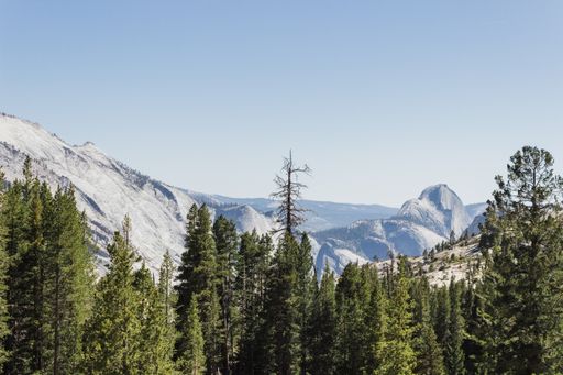 A beautiful shot of Yosemite National Park in California on a winter day