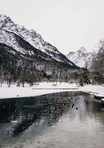 A mesmerizing view of beautiful snow-capped mountains with ducks swimming on the lake