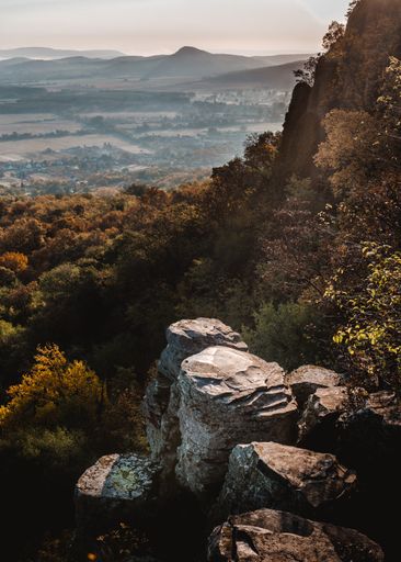 A vertical shot of a mountain in Hungary full of trees and vegetation