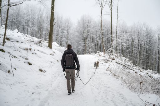 A male dressed in black is walking his pet dog in a winter landscape covered in a blanket of snow