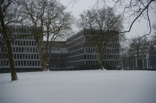 Office buildings and bare trees in a snowy park during a misty winter day