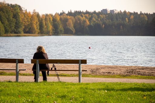 A back view of a person sitting on a bench near a lake