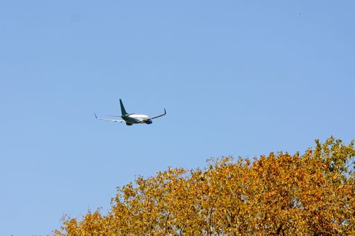 A low angle shot of an airplane flying in a clear blue sky