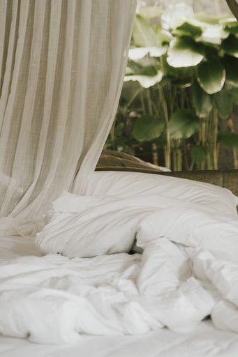 Tropical bedroom with palm trees background located in Bali