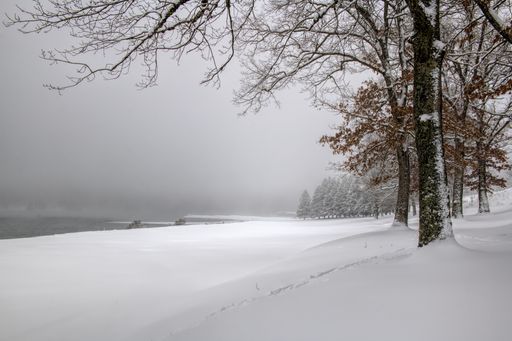 A wide-angle lens shot of a snowy landscape with trees