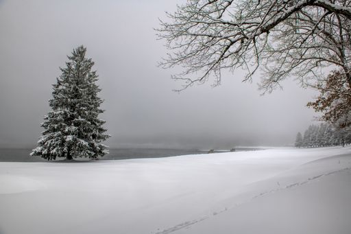 A wide-angle lens shot of a snowy landscape with trees