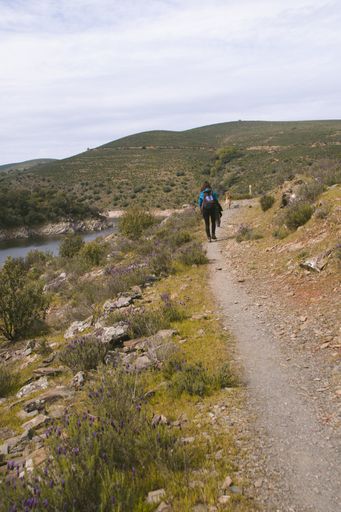 A young tourist walking on the national park of Monfrague Caceres, Extremadura, Spain, Europe
