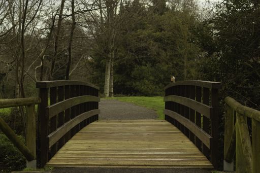 we are in front of a brown wooden bridge