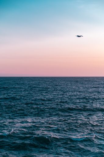 A beautiful view of a bird flying over the peaceful sea under the breathtaking sunset sky