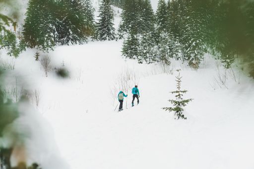 Two people enjoying a winter day outdoors while cross-country skiing in a picturesque setting, surrounded by pine trees covered with a blanket of snow