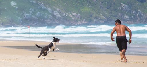 A young male playing with his dog on the beach on a sunny day