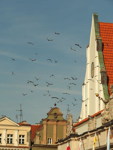 A vertical shot of a flock of birds in a clear blue sky