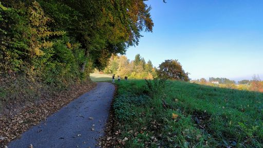 A walkway in the picturesque autumn park, children playing on the grass