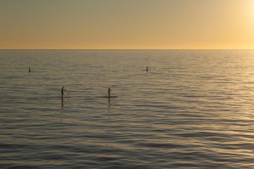 A beautiful shot of paddle boarders sup surfing on the water at sunset