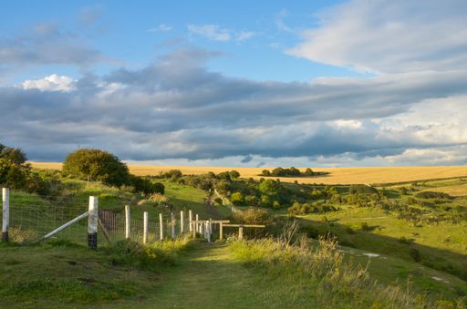 A scenic view of hiking trails at the top of Dover Cliffs