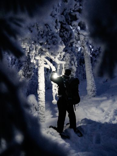 Man in Snowy forest, lighting up trees with his lantern, in Lapland