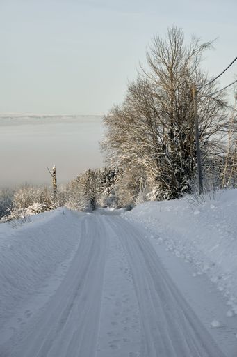 A scenic view of a snowy path through trees in countryside in a winter in Toten, Norway