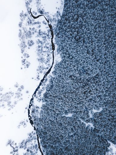 A vertical aerial shot of a forest on the mountain covered in snow