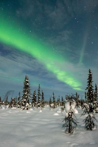 A stunning view of the dark night sky in Fairbanks, Alaska illuminated by a brilliant display of vibrant green aurora lights