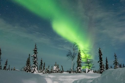 A stunning view of the dark night sky in Fairbanks, Alaska illuminated by a brilliant display of vibrant green aurora lights