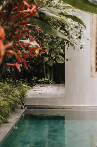 A vertical shot of a pool in Canggu, Bali