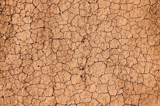A top view of dry cracked scorched earth