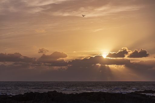 The beautiful sunset over the ocean on the horizon with the sun shining through large clouds