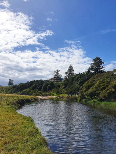 A scenic image featuring a river winding its way between lush green hills and tall trees
