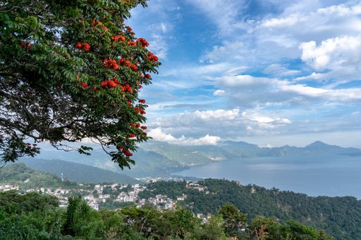 A wide angle shot of a city built in front of the water surrounded by mountains and trees