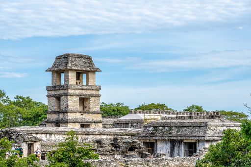 A wide angle shot of Palenque in Mexico surrounded by trees under a clear blue sky