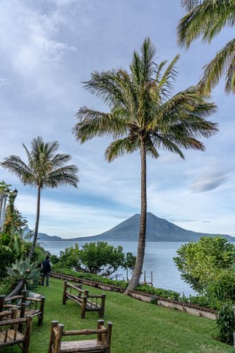 A vertical shot of trees and grass in front of the water and mountains under a cloudy sky
