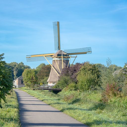 A wide angle shot of the back of a windmill surrounded by trees and grass under a clear blue sky
