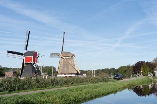 A wide angle shot of two windmills surrounded by trees and vegetation under a clear blue sky