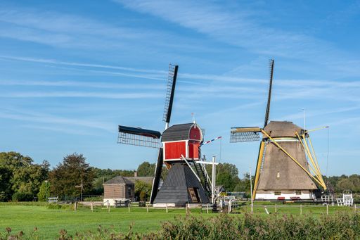 A wide angle shot of two windmills surrounded by trees and vegetation under a clear blue sky