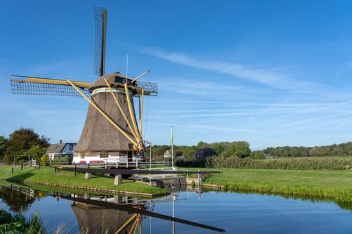 A wide angle shot of the back of a windmill surrounded by trees and grass under a clear blue sky