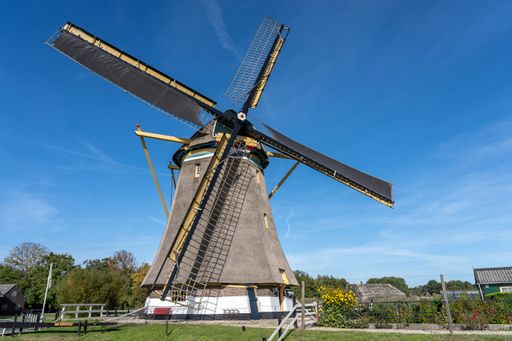 A windmill surrounded by green trees and vegetation under a clear blue sky