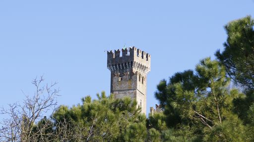 A low angle shot of the top of an ancietower from a garden during the daytime