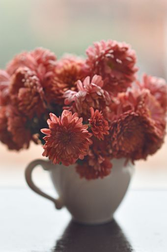 A vertical shot of pink chrysanthemums in a vase