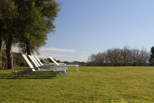 A wide angle shot of white lunge chairs next to each other on a green landscape