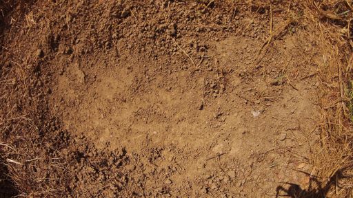 A brown soil texture background