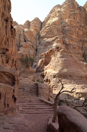 A vertical shot of the famous archaeological site Petra in Jordan