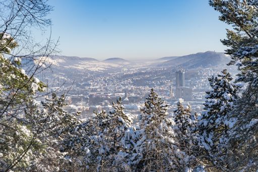 A snowy winter forest in Jena, Thuringia, Germany
