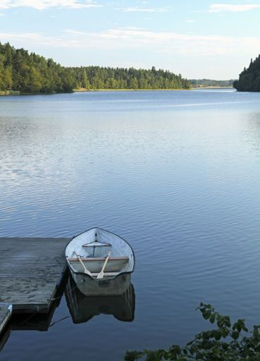 A vertical shot of a boat on the water surrounded by trees