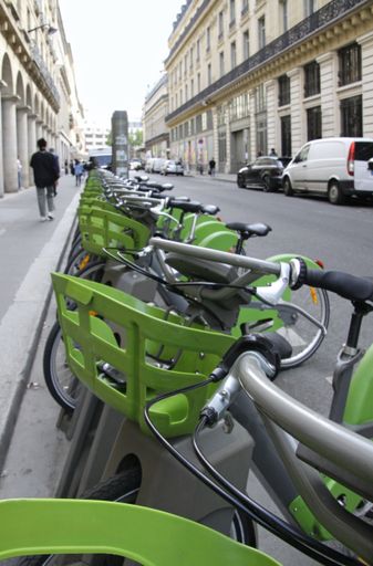 A vertical shot of several green bicycles next to each other on the road