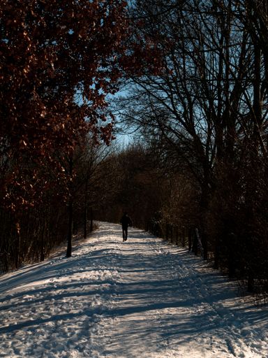 A vertical shot of a person walking on a path in the snowy winter forest